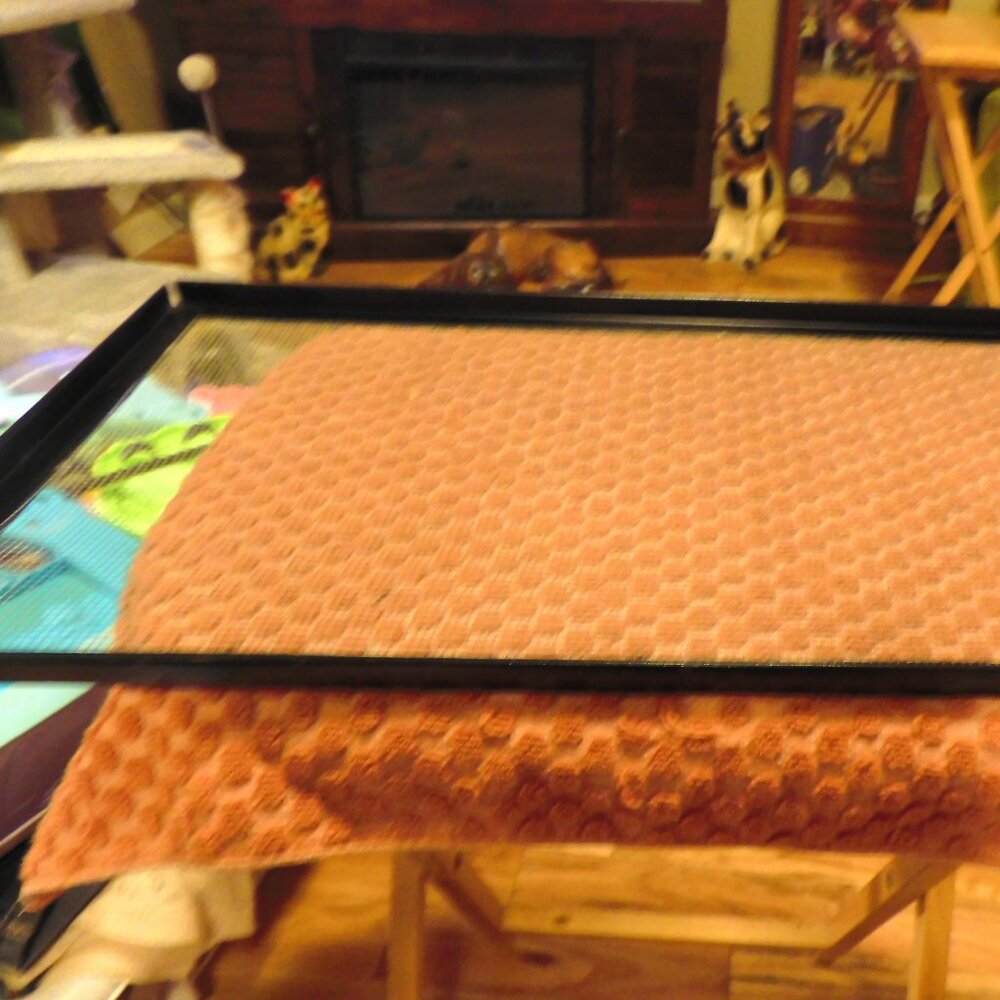 ;LIKE NEW SCREENED LID FOR AQUARIUM FOR SNAKE, LIZARD, ETC.